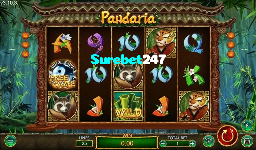 making first deposit on Surebet247 website using local payment methods in Pakistan